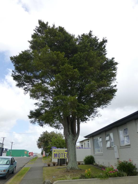 Totara Lodge Motel Levin Eksteriør billede